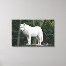 Search for canine canvas prints Wild