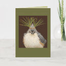Search for titmouse Tufted titmouse
