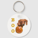 Search for hirsute key rings Long haired dachshund