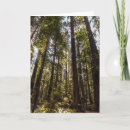 Search for humboldt cards Nature