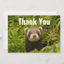 Search for ferret cards Funny