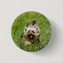 Search for yorkshire terrier badges Cute