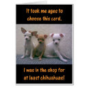 Search for chihuahua jokes Chihuahuas