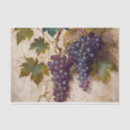 Search for wine tissue paper Vineyard