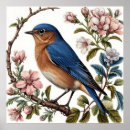 Search for bluebird posters Flowers