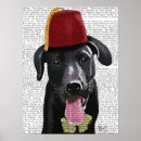 Search for labrador posters Animals