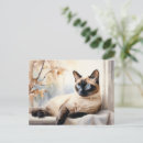 Search for siamese postcards Feline