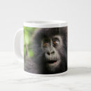Search for mountain gorilla mugs Primate