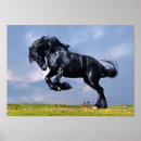 Search for friesian horse art Equestrian