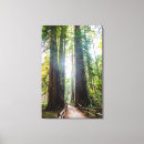 Search for marin county posters Nature