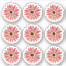 Search for gerbera daisy stickers Colourful