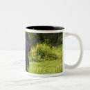 Search for anne marie mugs Africa