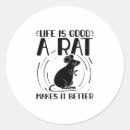 Search for rat stickers Pets