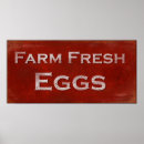 Search for egg farm posters Backyard chickens