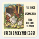 Search for free range stickers Eggs for sale