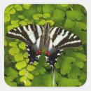 Search for golden butterfly stickers Yellow