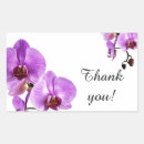 Search for phalaenopsis stickers Orchid