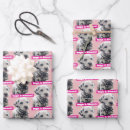 Search for dalmatian wrapping paper Funny