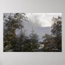 Search for winter tree the posters Fall