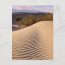 Search for dunes postcards Travel