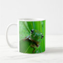 Search for tree frog mugs Amphibian
