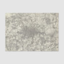 Search for environment tissue paper Map
