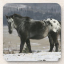 Search for appaloosa barware Standing