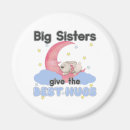 Search for big sister magnets Moon