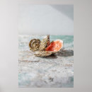 Search for oyster posters Shell