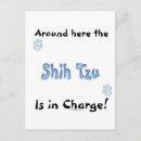 Search for shih postcards Tzu