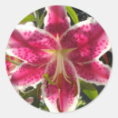 Search for garden lovers stickers Gardens