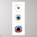 Search for perception posters Fractal