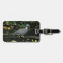 Search for doves travel accessories Nature