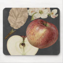 Search for botanical study mousepads Fruits