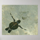 Search for beach babies posters Nautical
