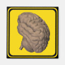 Search for brains magnets Humourous