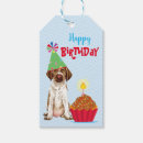 Search for deutsch drahthaar Wirehaired