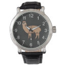 Search for alpaca watches Llama