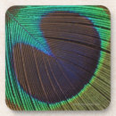 Search for peacock feather coasters Nature