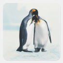 Search for two penguins stickers Cute animals