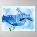 Search for bumblebee posters Garden