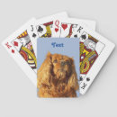 Search for cavalier king charles spaniel playing cards Pet