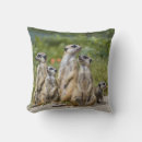 Search for meerkat cushions Nature