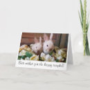 Search for sweet bunny cards Floral