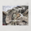 Search for your mom postcards Cat lady