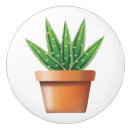 Search for vera Botanical