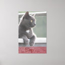 Search for kitty canvas prints Animal