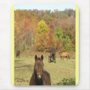 Search for horse mousepads Buckskin