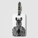 Search for photographs accessories Black and white