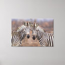 Search for kruger national park posters Gallo images